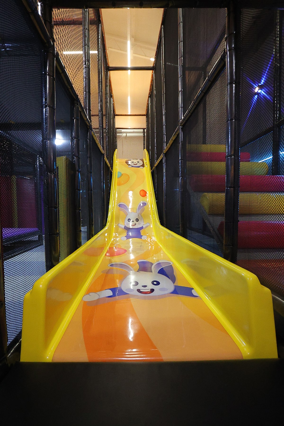 Multilane Slide with a Ball Pit Landing